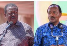 Mudavadi fires back at Kalonzo over his remarks on Africa Forward Summit