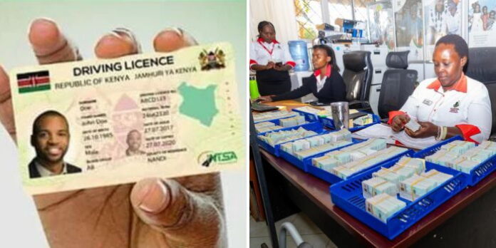 driving-license-and-national-id-cards