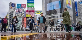 Litterbugs now face on-the-spot fines in Tokyo’s tourist hotspot