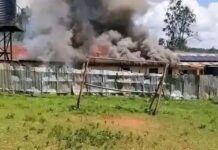 Dormitory Razed in Midday Fire at Masosa Girls High School; All Students Accounted For