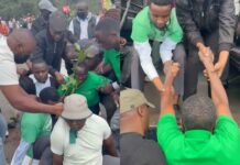 Former Chief Justice David Maraga arrested over Nairobi National Park protest