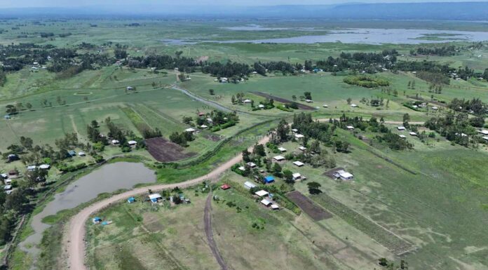 West Kano flood control project restores hope for thousands of families in Kisumu