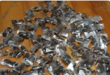 Man arrested after 150 live venomous scorpions found in luggage at Cape Town airport