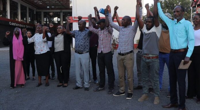 Isiolo Doctors Down Tools as Salary Delays, Intimidation Claims Trigger Strike