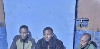 Three suspected poachers nabbed in Marsabit with 39.5kg of elephant tusks
