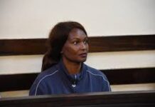 Court Hears Sarah Wairimu Directed Staff to Claim Tob Cohen Had Travelled Abroad