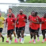 Diaspora backs DR Congo amid ebola-driven World Cup fan shortage